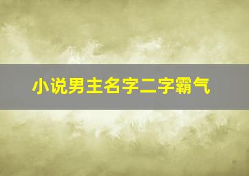 小说男主名字二字霸气