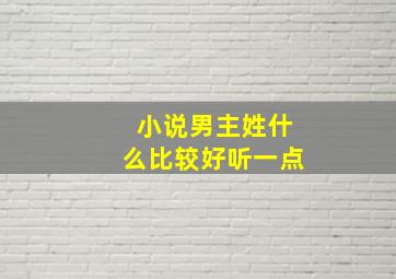 小说男主姓什么比较好听一点