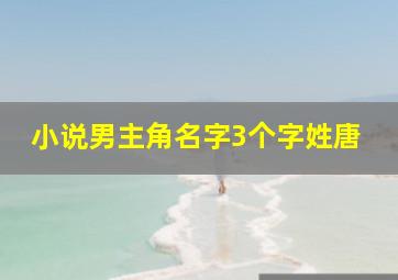 小说男主角名字3个字姓唐