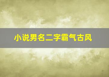 小说男名二字霸气古风