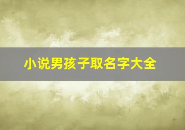 小说男孩子取名字大全