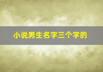 小说男生名字三个字的