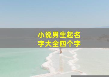 小说男生起名字大全四个字