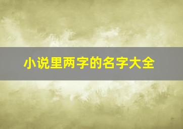 小说里两字的名字大全