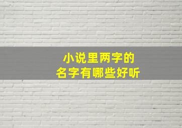 小说里两字的名字有哪些好听