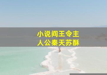 小说阎王令主人公秦天苏酥