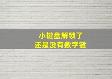 小键盘解锁了还是没有数字键