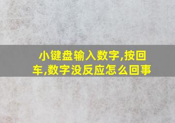 小键盘输入数字,按回车,数字没反应怎么回事