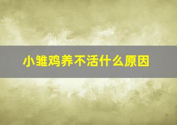 小雏鸡养不活什么原因