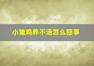 小雏鸡养不活怎么回事