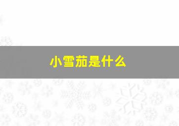 小雪茄是什么