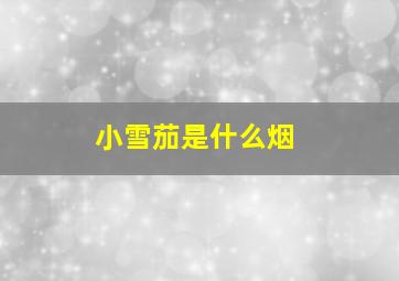 小雪茄是什么烟