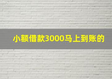 小额借款3000马上到账的