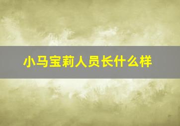 小马宝莉人员长什么样