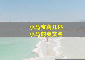 小马宝莉几匹小马的英文名