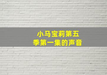 小马宝莉第五季第一集的声音