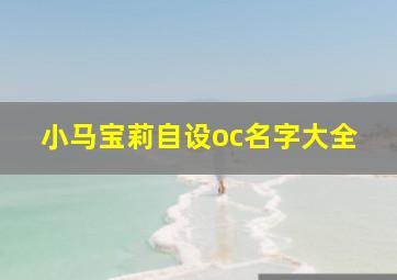 小马宝莉自设oc名字大全