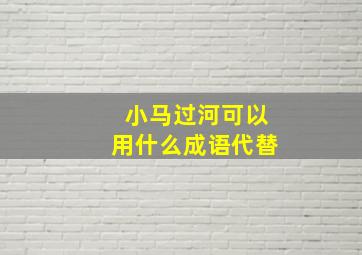 小马过河可以用什么成语代替