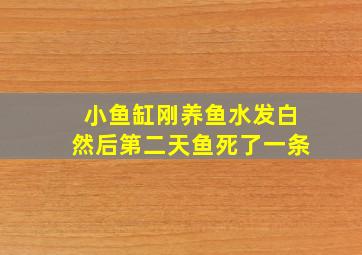 小鱼缸刚养鱼水发白然后第二天鱼死了一条