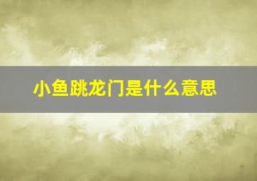 小鱼跳龙门是什么意思