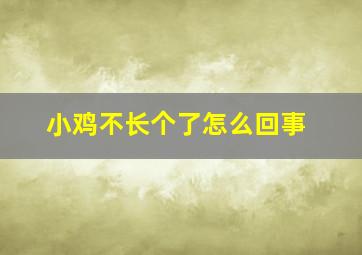 小鸡不长个了怎么回事