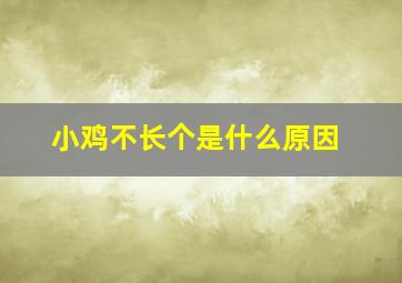 小鸡不长个是什么原因