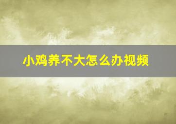 小鸡养不大怎么办视频