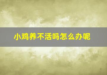 小鸡养不活吗怎么办呢