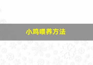 小鸡喂养方法