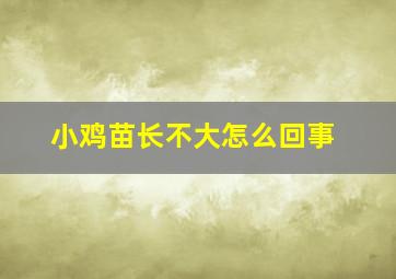 小鸡苗长不大怎么回事