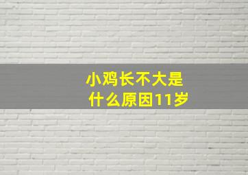 小鸡长不大是什么原因11岁