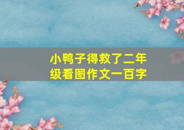 小鸭子得救了二年级看图作文一百字