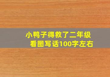 小鸭子得救了二年级看图写话100字左右