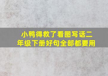 小鸭得救了看图写话二年级下册好句全部都要用