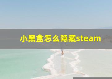 小黑盒怎么隐藏steam