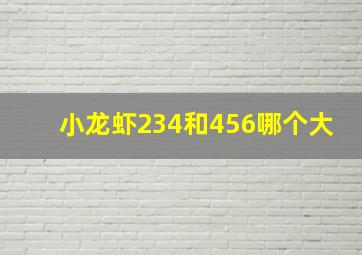 小龙虾234和456哪个大