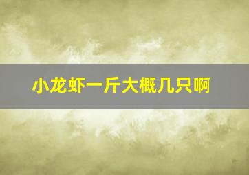 小龙虾一斤大概几只啊