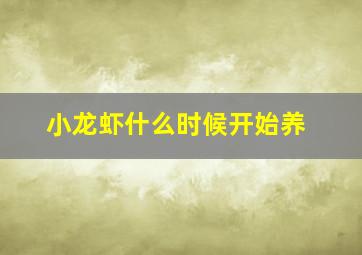 小龙虾什么时候开始养