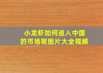 小龙虾如何进入中国的市场呢图片大全视频