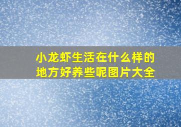 小龙虾生活在什么样的地方好养些呢图片大全