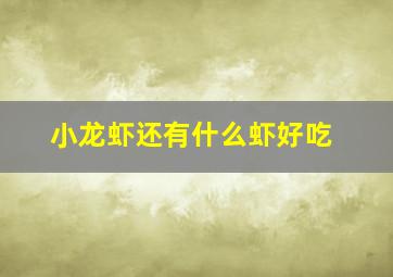 小龙虾还有什么虾好吃