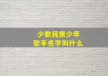 少数民族少年歌手名字叫什么