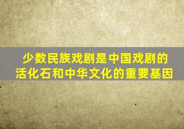 少数民族戏剧是中国戏剧的活化石和中华文化的重要基因