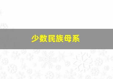 少数民族母系