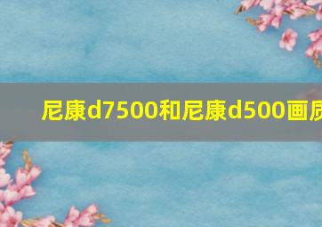 尼康d7500和尼康d500画质