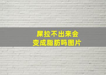 屎拉不出来会变成脂肪吗图片