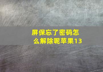 屏保忘了密码怎么解除呢苹果13