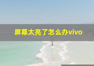 屏幕太亮了怎么办vivo