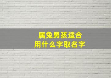 属兔男孩适合用什么字取名字