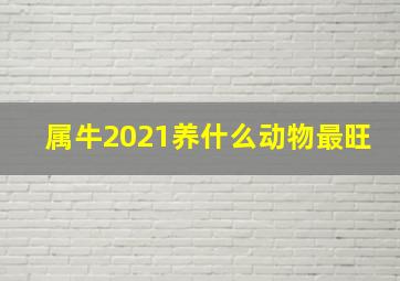 属牛2021养什么动物最旺